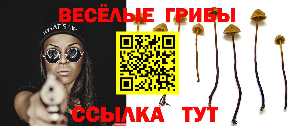 Галлюциногенные грибы мухоморы Усинск